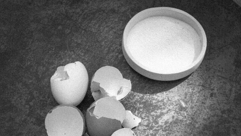 En lugar de tirar las cáscaras de huevo, esta empresa mexicana las transforma en material de construcción