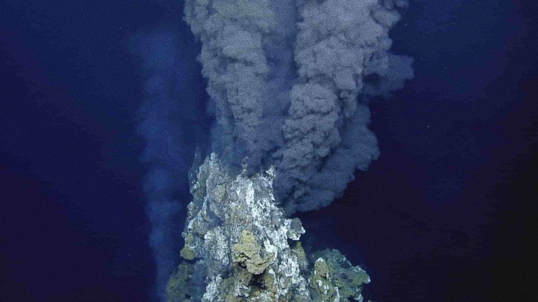 Hemos descubierto una nueva y extraña especie que vive en los volcanes sumergidos del Ártico