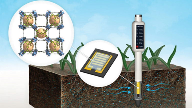 Este invento podría revolucionar la agricultura: así es como consigue mejorar la calidad del suelo
