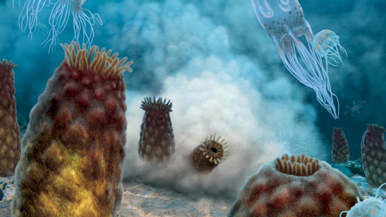Durante décadas pensamos que eran fósiles de medusas, pero al darles la vuelta descubrimos su verdadero origen