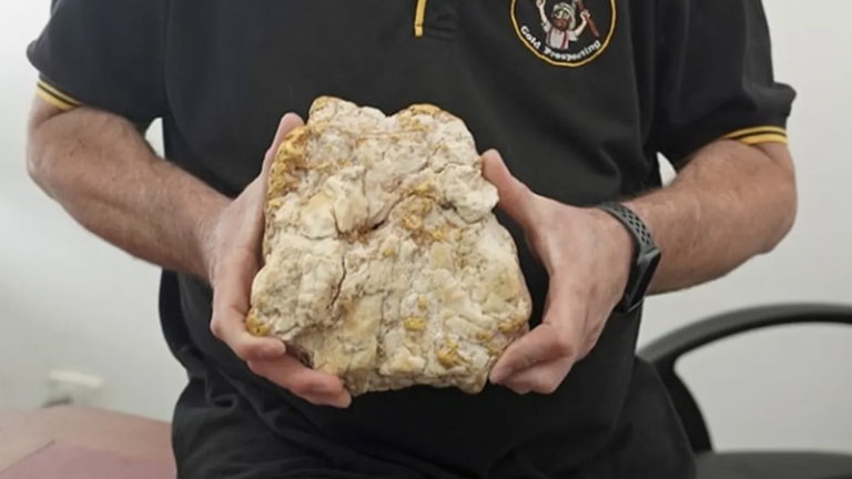 Esta roca de 4kg vale una fortuna: ser buscador de oro es un trabajo difícil, pero a veces vale la pena