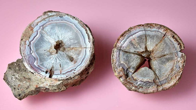Esta roca estaba expuesta en un museo por la razón equivocada: su valor era mucho más del que parecía