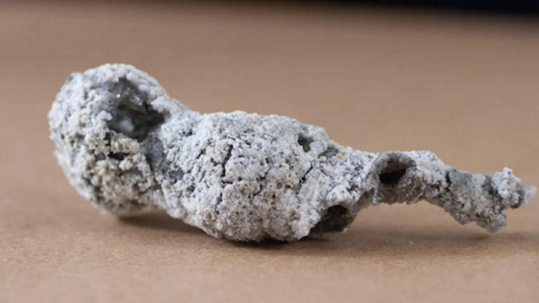 El impacto de un rayo sobre un árbol genera un material nunca antes visto en la Tierra