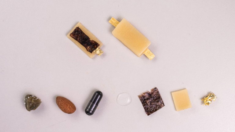 Unas nuevas baterías recargables son tan ecológicas que incluso te las puedes comer