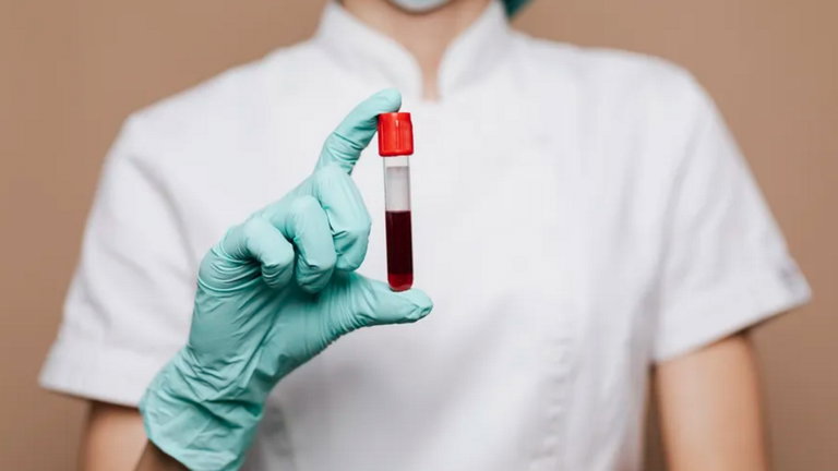 Veneno de cobra y sangre de cerdo: un cóctel de lo más extraño que podría revolucionar la medicina