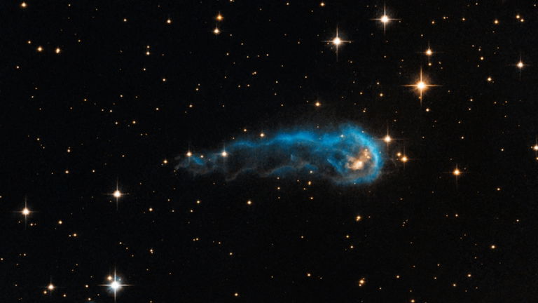 Un espermatozoide cósmico: la NASA nos muestra la bellísima imagen de una estrella antes de nacer