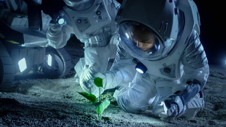 "Es hacer comida del aire": la NASA estudia nuevas técnicas para que los astronautas coman en el espacio