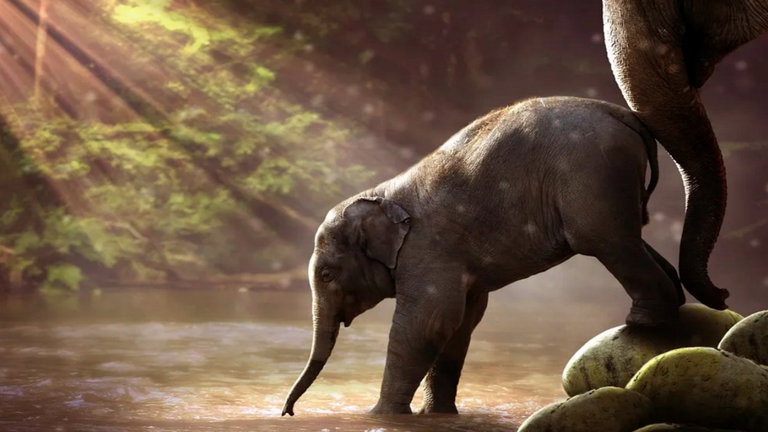 Un Arca de Noé a nivel anatómico: así es como el proyecto Zoonomia quiere salvar a cientos de animales