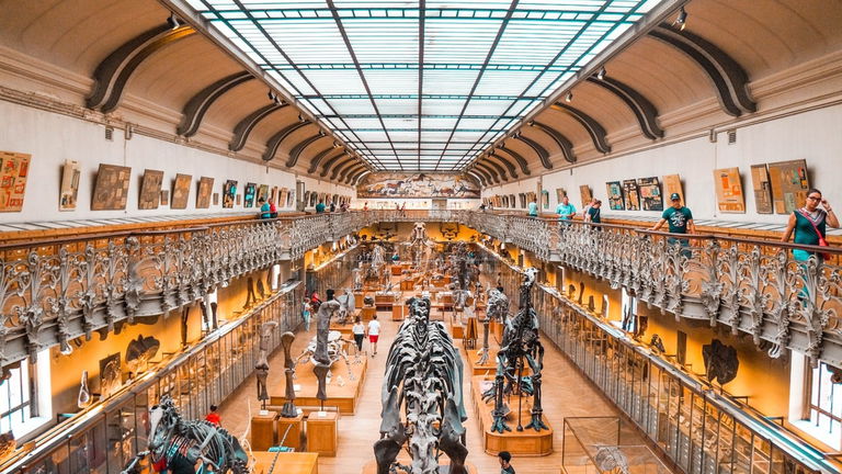 Los dinosaurios herbívoros más conocidos: tipos y características