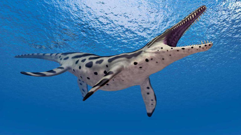 Unos restos en un museo demuestran que este depredador marino del Triásico era más grande de lo que parecía