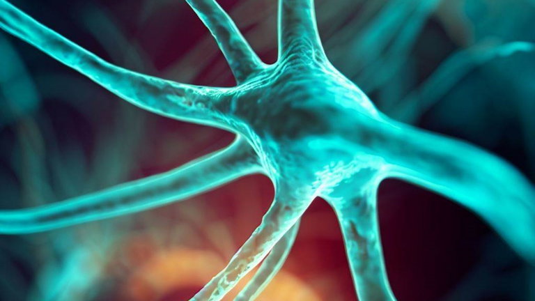 ¿Dónde se almacenan los recuerdos? La ciencia podría tener por fin la respuesta