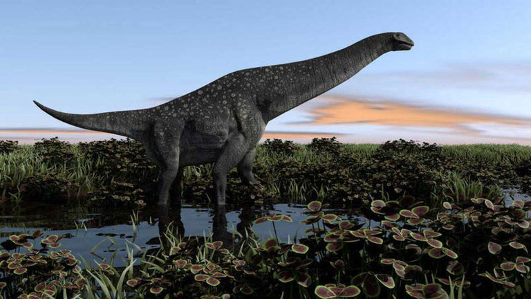 Este dinosaurio era tan grande que solo transportar sus huesos ya ocasionó un accidente de tráfico