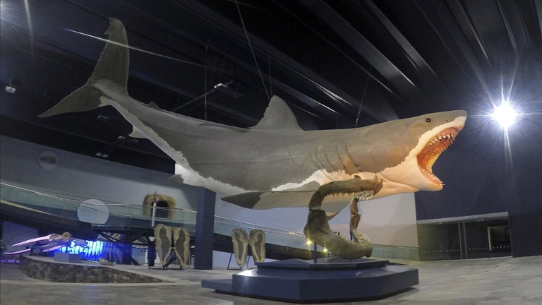 El increíble secreto por el que el tiburón más grande de la historia era tan letal