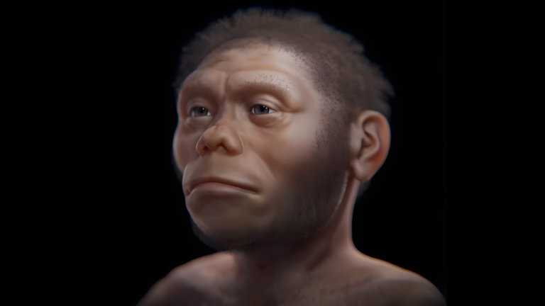 Han usado tecnología 3D para replicar el rostro de un "Hobbit" de hace 18.000 años