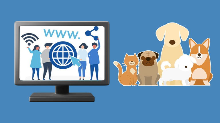 Las mejores webs para gente con mascota