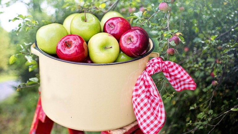 Apple quiere registrar los derechos de imagen de las manzanas: se han metido en un enorme follón judicial