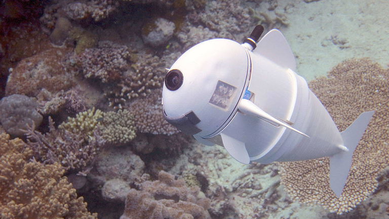 Parece un tiburón pero en realidad es un robot autónomo para estudiar el fondo marino