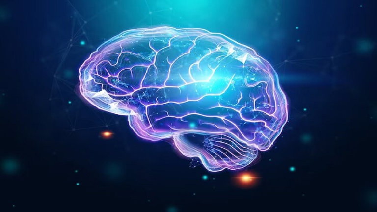 Nuestro cerebro se va a hacer más pequeño y al parecer la culpa es del cambio climático