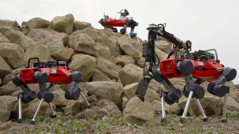 No se cansan, trabajan en equipo y son los nuevos perros robot que servirán para explorar planetas