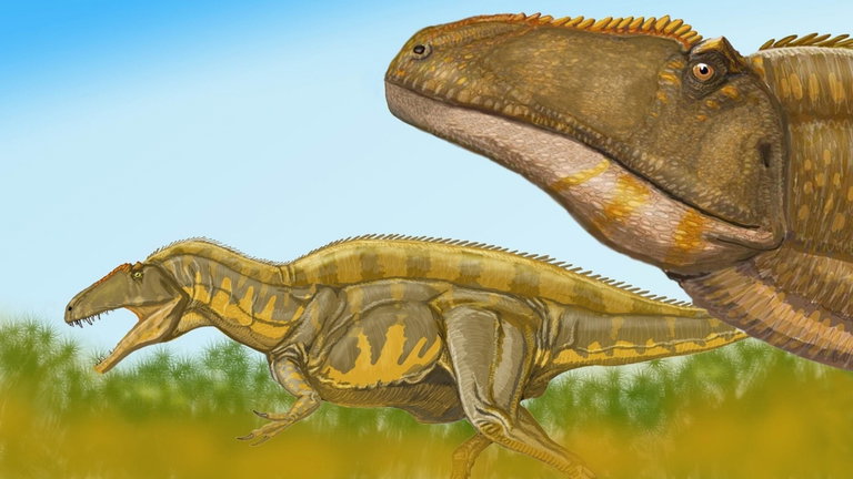 Paleontólogos hallan un fósil que podría cambiar todo lo que se sabe de los dinosaurios en América