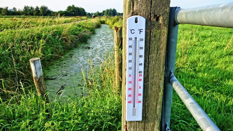 Todas las formas de medir la temperatura: escala Fahrenheit, escala Celsius, escala Kelvin
