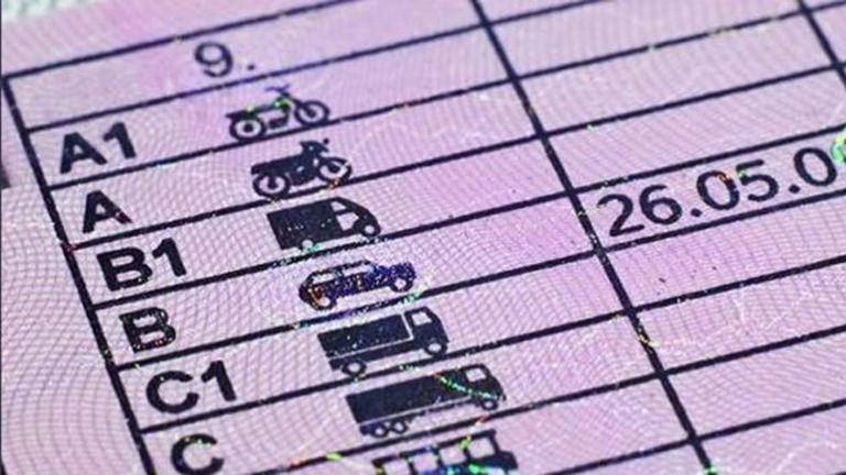 Cómo renovar el carnet de conducir online: proceso paso a paso