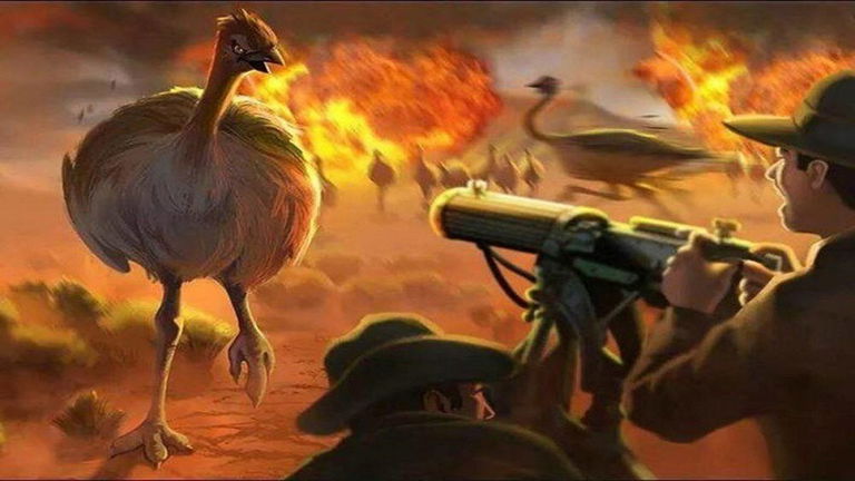 Ni las ametralladoras sirvieron: la historia de cómo Australia perdió una guerra contra estas enormes aves