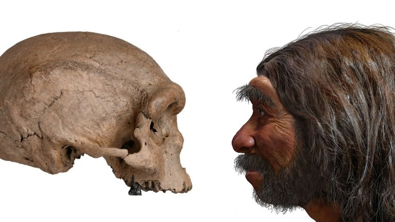 Una investigación muestra que el ser humano casi se extinguió por completo hace un millón de años