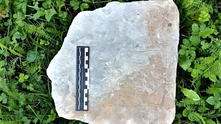 Este tablero de un antiguo juego de mesa tiene más de 500 años y estaba entre las ruinas de un castillo