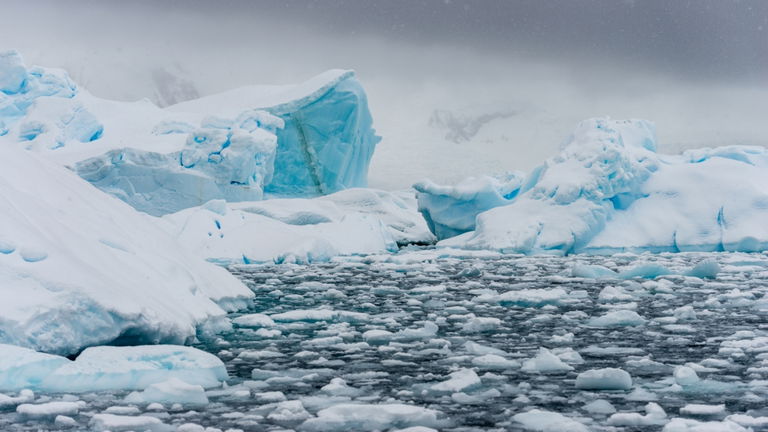 El hielo marino de la Antártida alcanza su máximo anual más bajo de toda la historia y no es una buena noticia