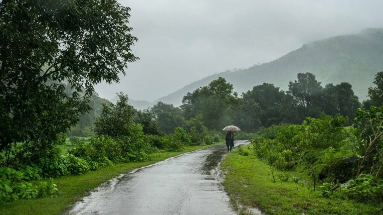 Este es el lugar con más precipitaciones del planeta: seis veces más que en el sitio más lluvioso de España