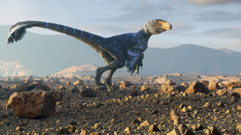 Las plumas de los dinosaurios podrían haber sido más parecidas a la de los pájaros de lo que se pensaba