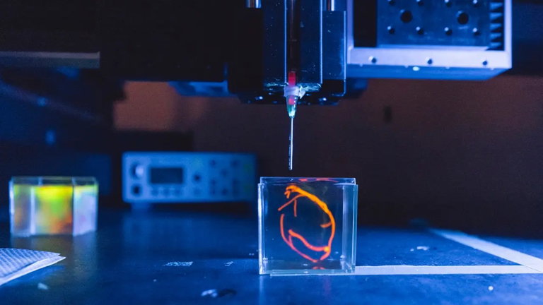 Corazones humanos impresos en 3D: científicos de Stanford intentarán su trasplante a cerdos