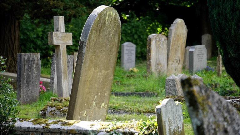 Una parte vital de nuestro cuerpo continúa con vida después de nuestra muerte. Te contamos cuál es y por qué