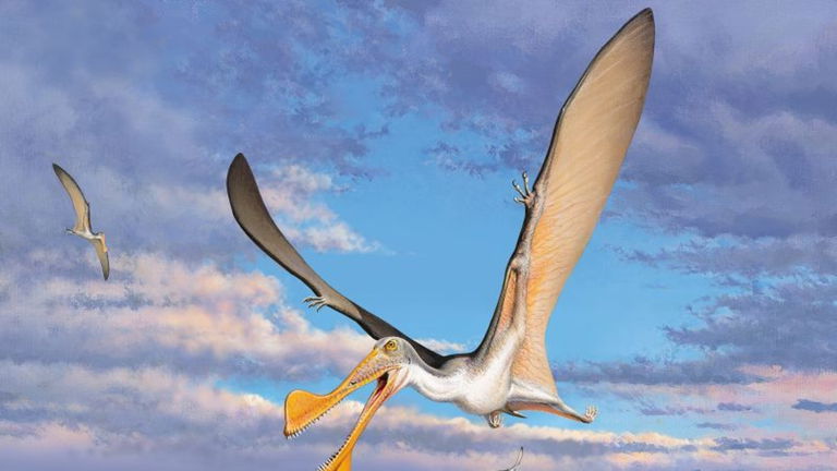 Los pájaros fueron uno de los causantes de la extinción de los enormes reptiles voladores del Mesozoico