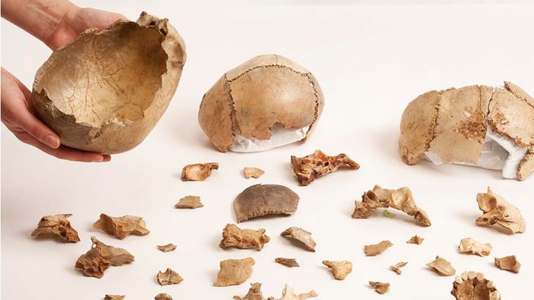 El canibalismo era algo normal en Europa, o al menos lo era en la prehistoria hace 15.000 años