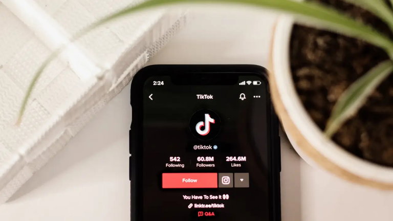 TikTok podría plantearse ofrecer una versión de pago de su app para eliminar la publicidad