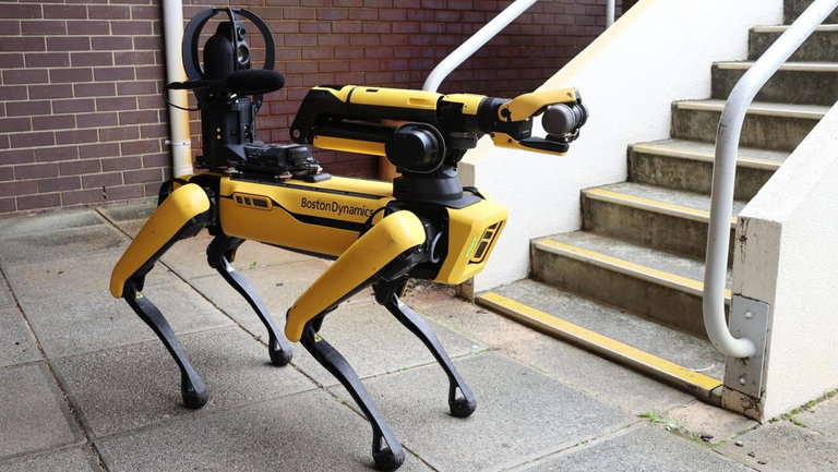 Inteligencia artificial y perros robot: la solución de Reino Unido para evitar muertes desactivando bombas