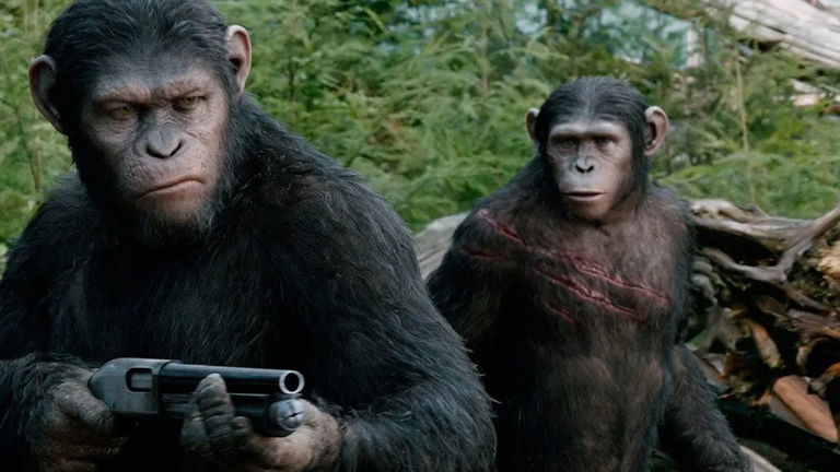 Grupos de chimpancés utilizan por primera vez en la historia tácticas de guerra parecidas a las humanas