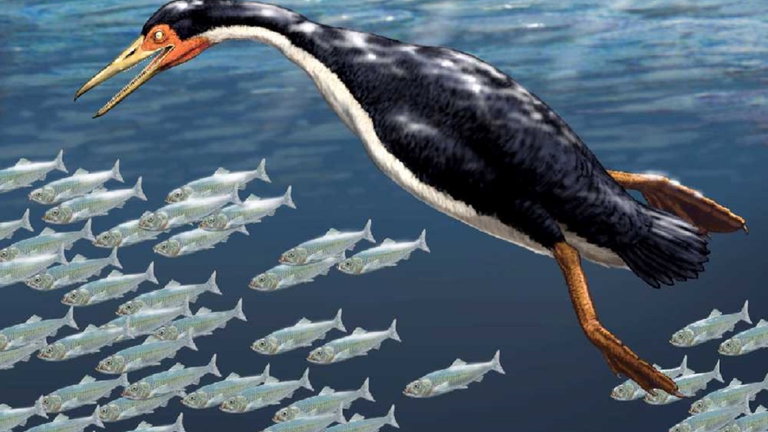 Encuentran huellas de aves de la época de los dinosaurios y ahora sabemos más sobre los pájaros prehistóricos