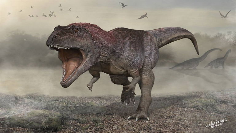 Estamos a punto de saber por qué los humanos envejecemos tan rápido: todo tiene que ver con los dinosaurios