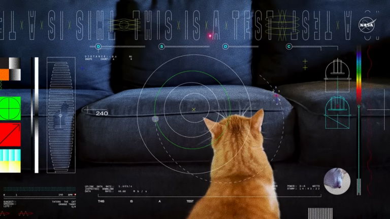La NASA hace el primer streaming desde el espacio profundo con un gato como estrella principal