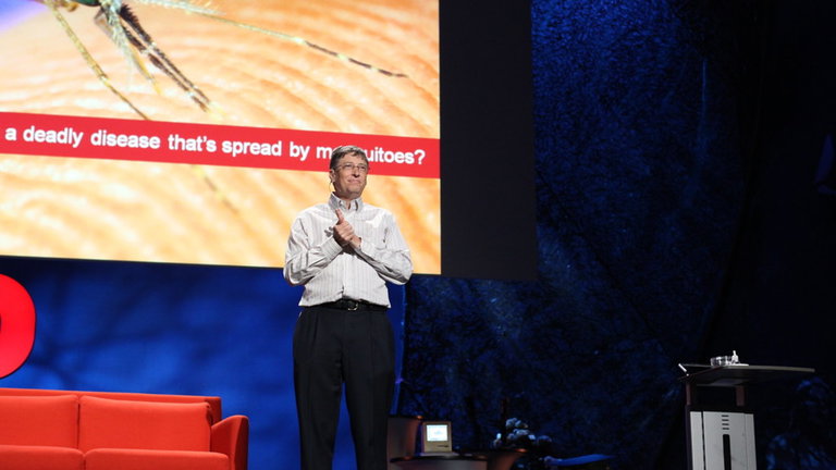 Qué relación tiene Bill Gates con los mosquitos y por qué no deberías preocuparte