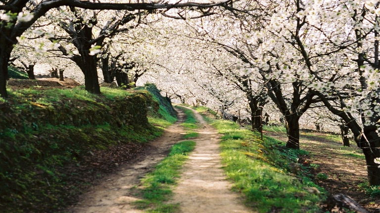 Parece un lugar sacado de un cuento de Tolkien, pero está en España y puede visitarse
