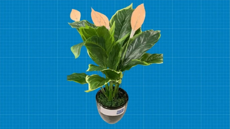 Diseñan centrales eléctricas con forma de plantas: pueden decorar tu casa y también darte energía