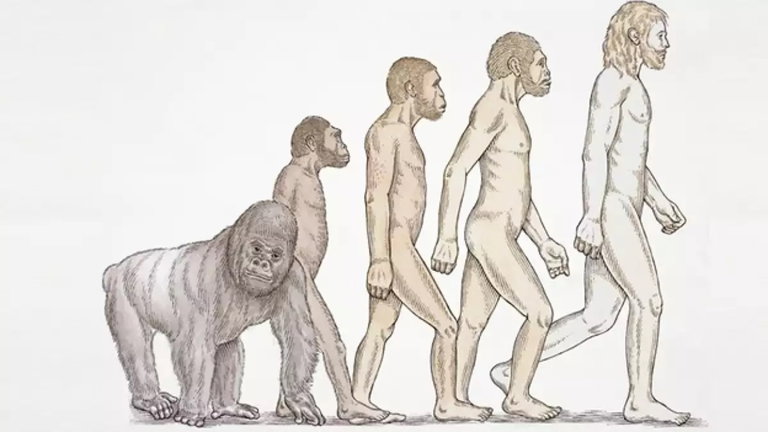 Encuentran el momento exacto en el que neandertales y homo sapiens se separaron: no fue hace tanto tiempo