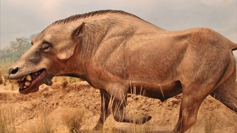 Eran conocidos como los “cerdos del infierno” y aterrorizaron la Tierra después de los dinosaurios