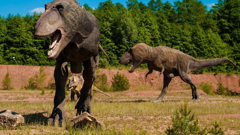 Por qué los brazos del T-Rex eran tan cortos y para qué los usaba