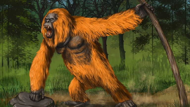 El mono más grande de la historia habitó en China: pesaba 300 kilos y era un verdadero King Kong