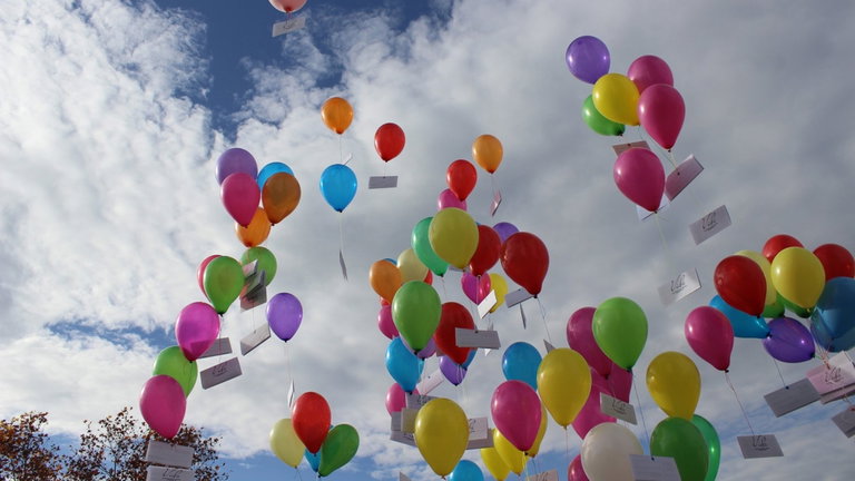 La vida silvestre podría tener un enemigo menos: se quiere prohibir lanzar globos de plástico al aire